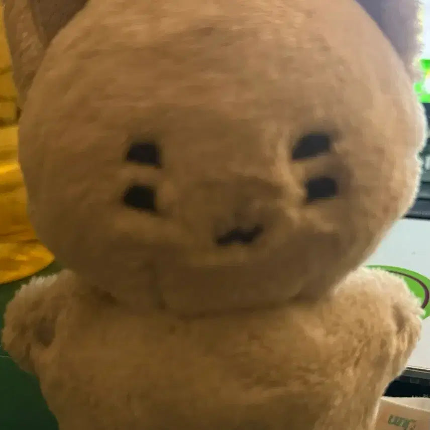 엑디즈 정수 인형 둥코