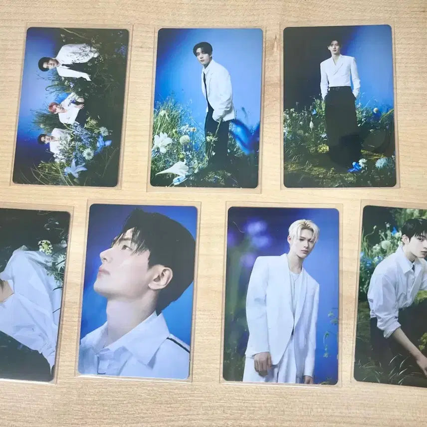 엔하이픈 웤더라인 포카 일괄 양도 판매  희승제이제이크성훈선우니키