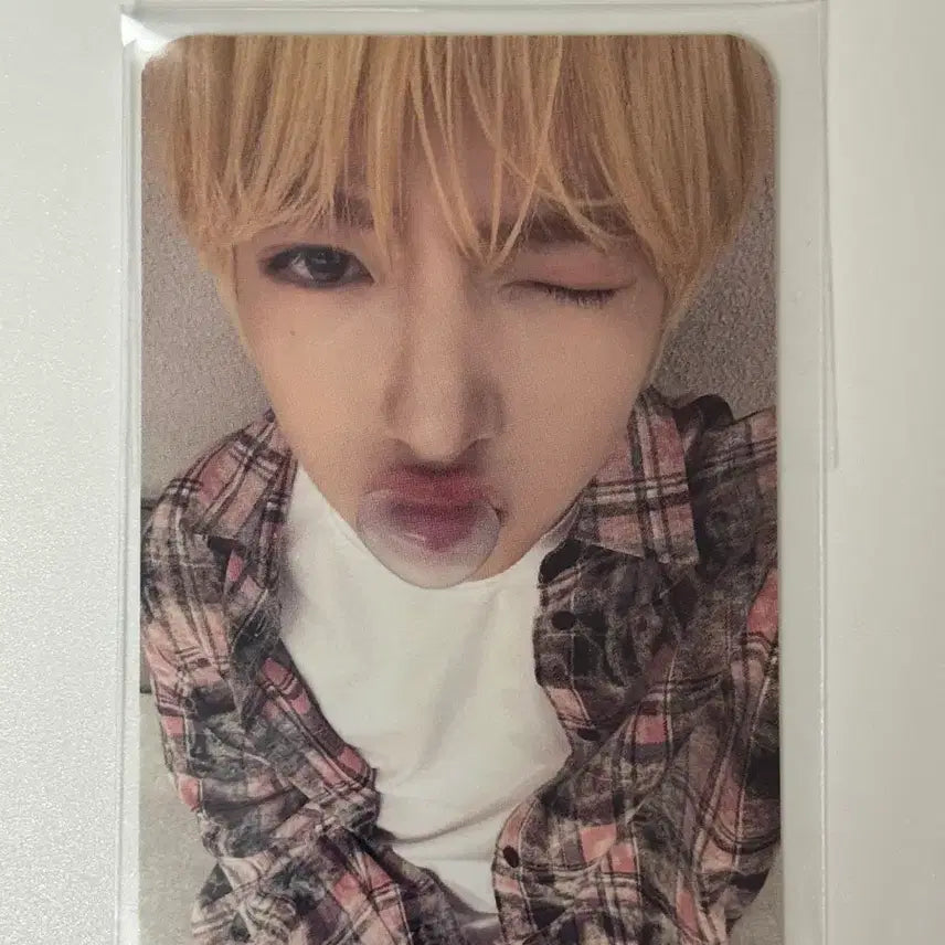 엔시티 위시 예사 럭드 사쿠야 팔아요!