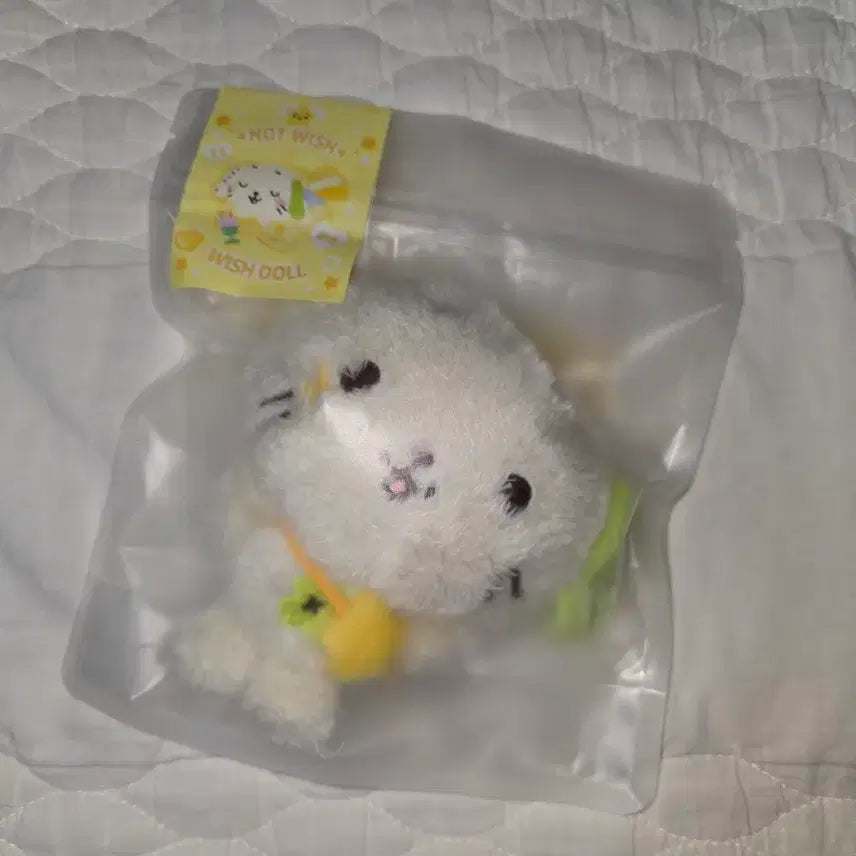 위시돌 룐룐 nct wish 인형 판매