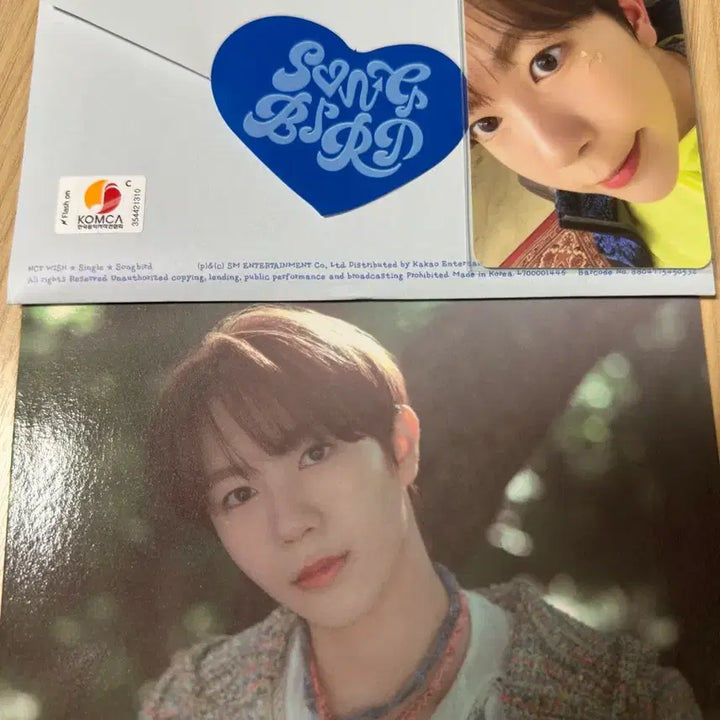 엔시티위시 송버드 팝팝 료버전