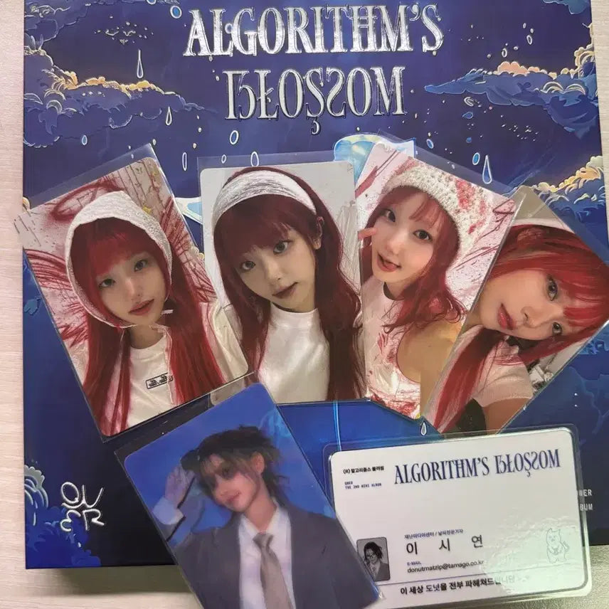 qwer 큐떠블유이알 알고리즘 블라썸 알고리즘 버전 + 포카