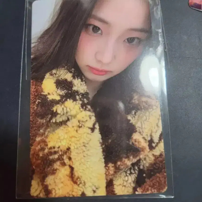 베이비몬스터 루카 콘서트 음반부스 멤버십 특전 포카 미개봉