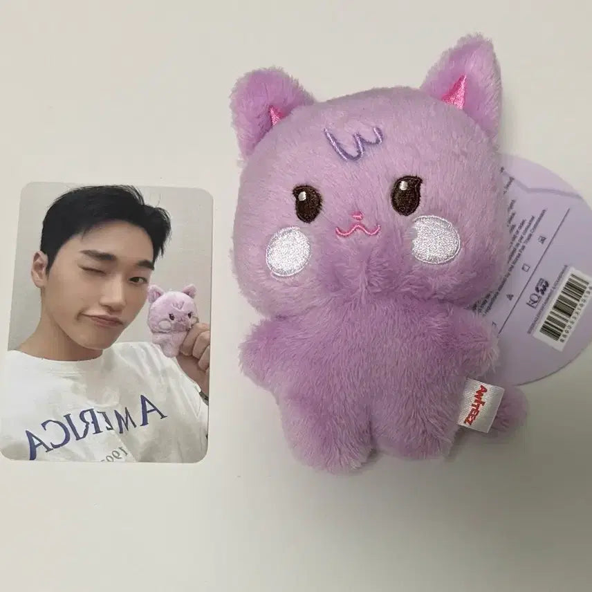 에이티즈 애니티즈 타이니 인형 산덕이 양도