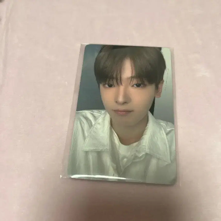 강우진 보플 보이즈플래닛2 포카 아카이브 패밀리즈