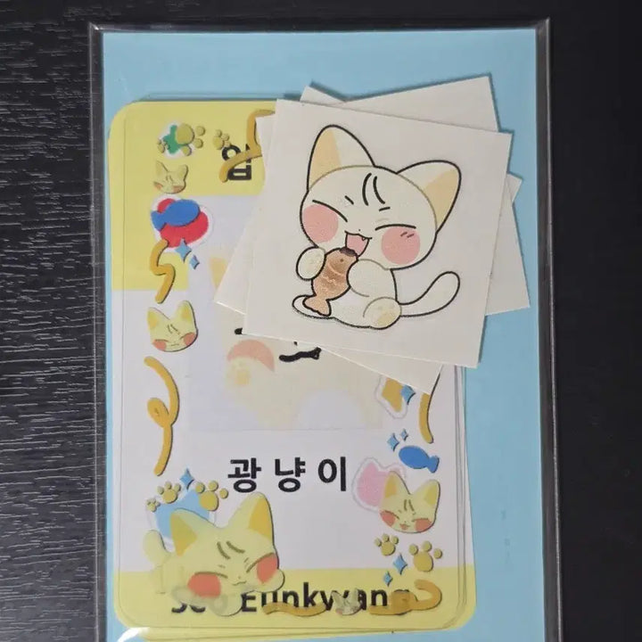 비투비 서은광 광냥이 인형 누이+입양증