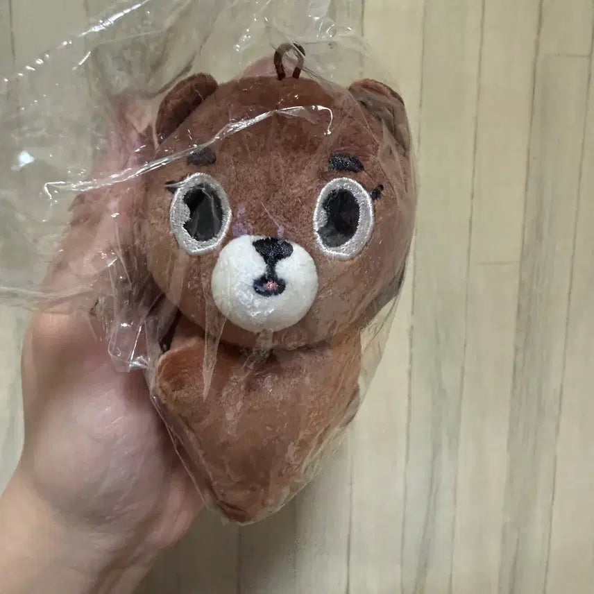 데이식스 데니멀즈 손난로 인형 방