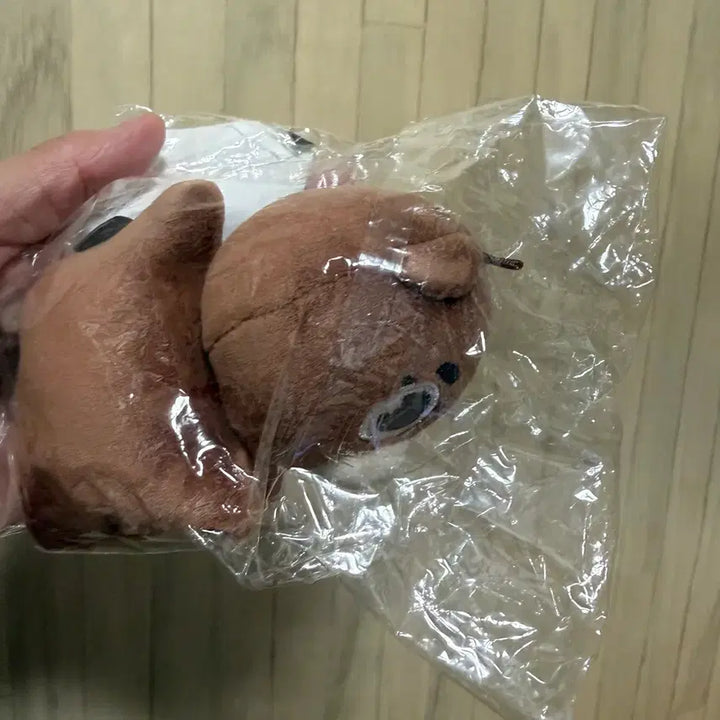 데이식스 데니멀즈 손난로 인형 방