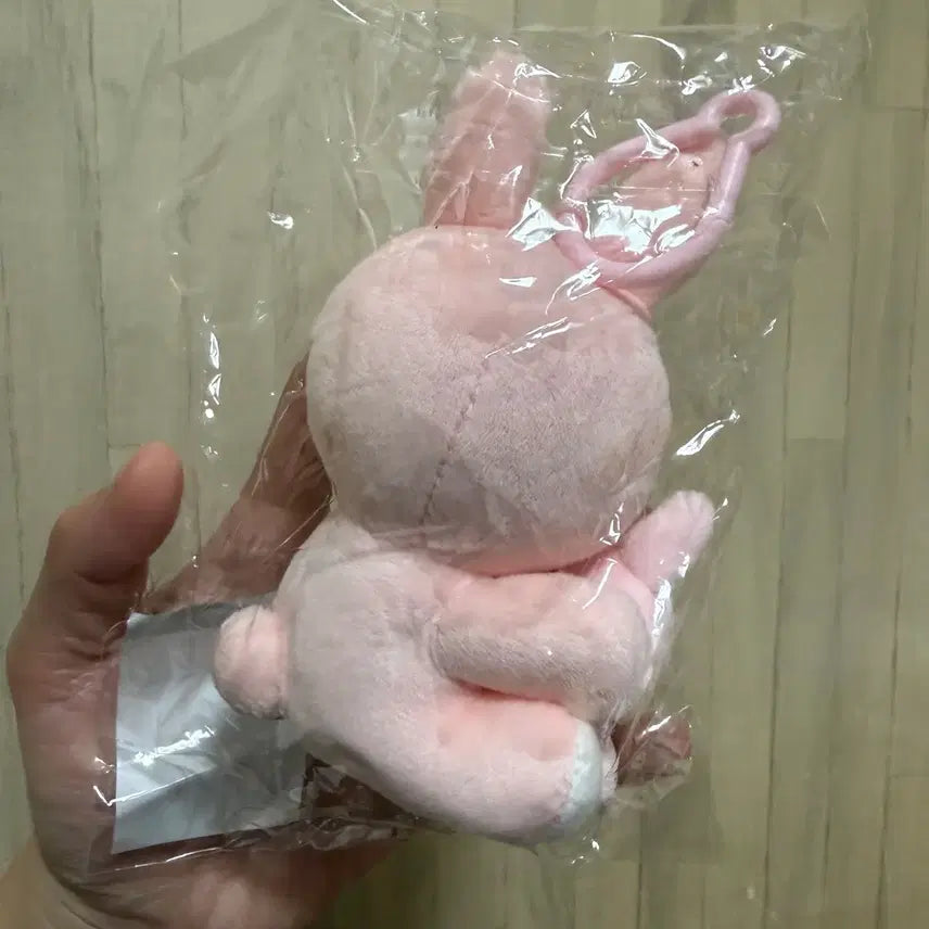 데이식스 데니멀즈 마그넷 플러시 세트 필