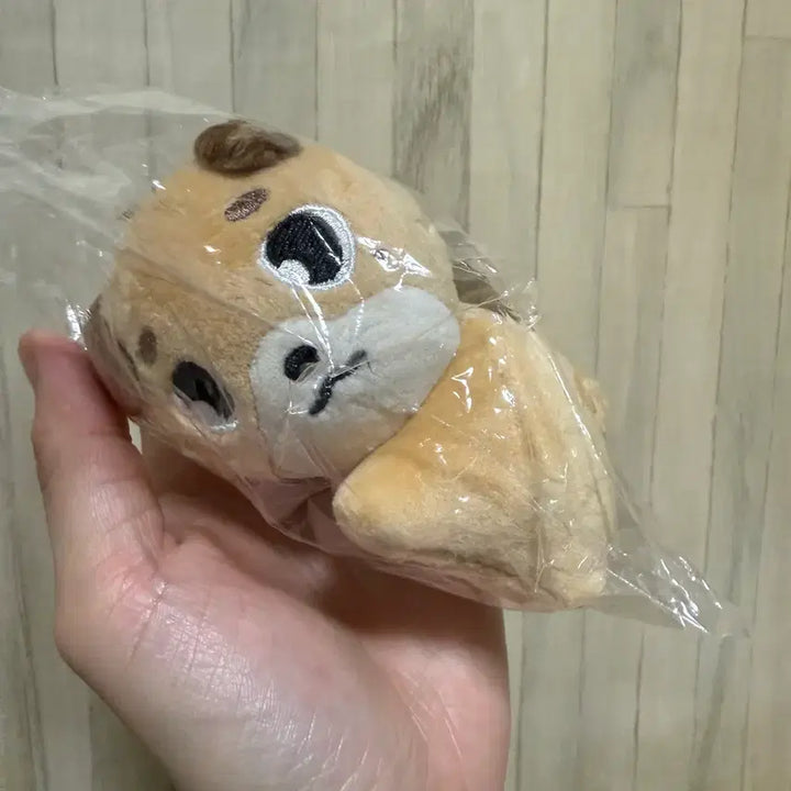 데이식스 데니멀즈 손난로 인형 돈