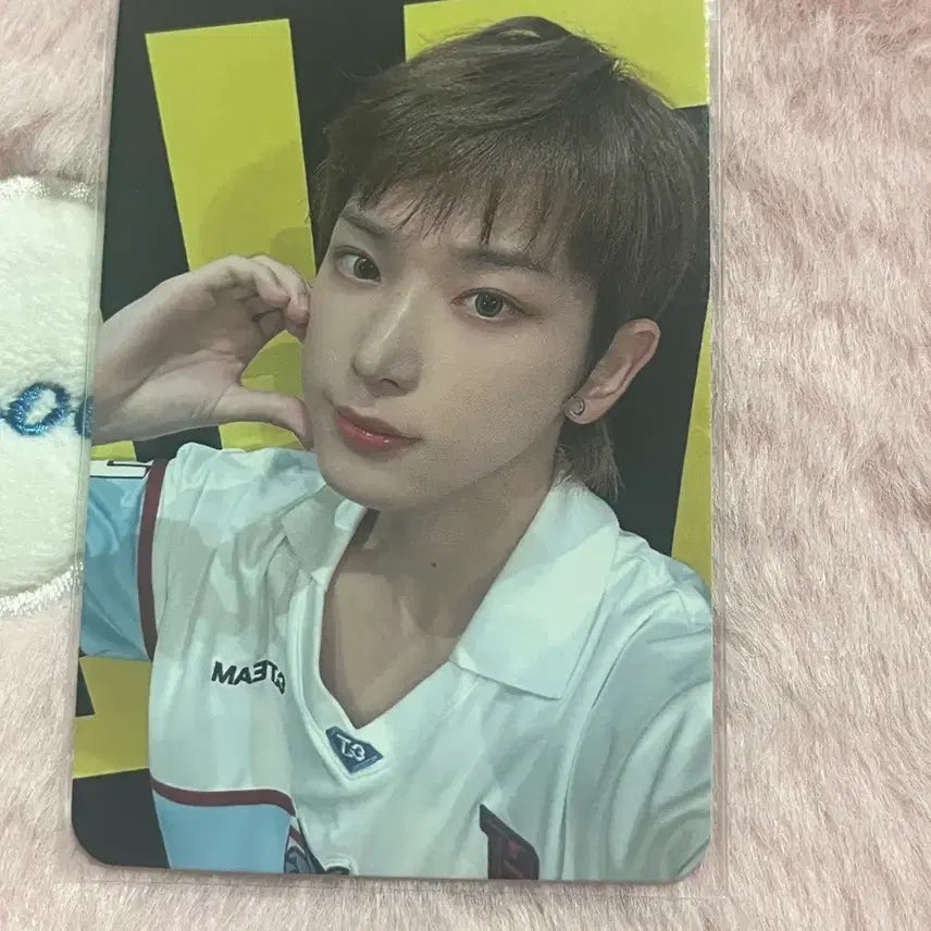 앤팀 하루아 디어마이뮤직 디마뮤 럭드 포토카드 포카 양도합니다!