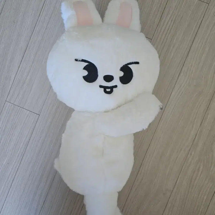 리빗 스키주 플러시백 스트레이키즈 스키즈