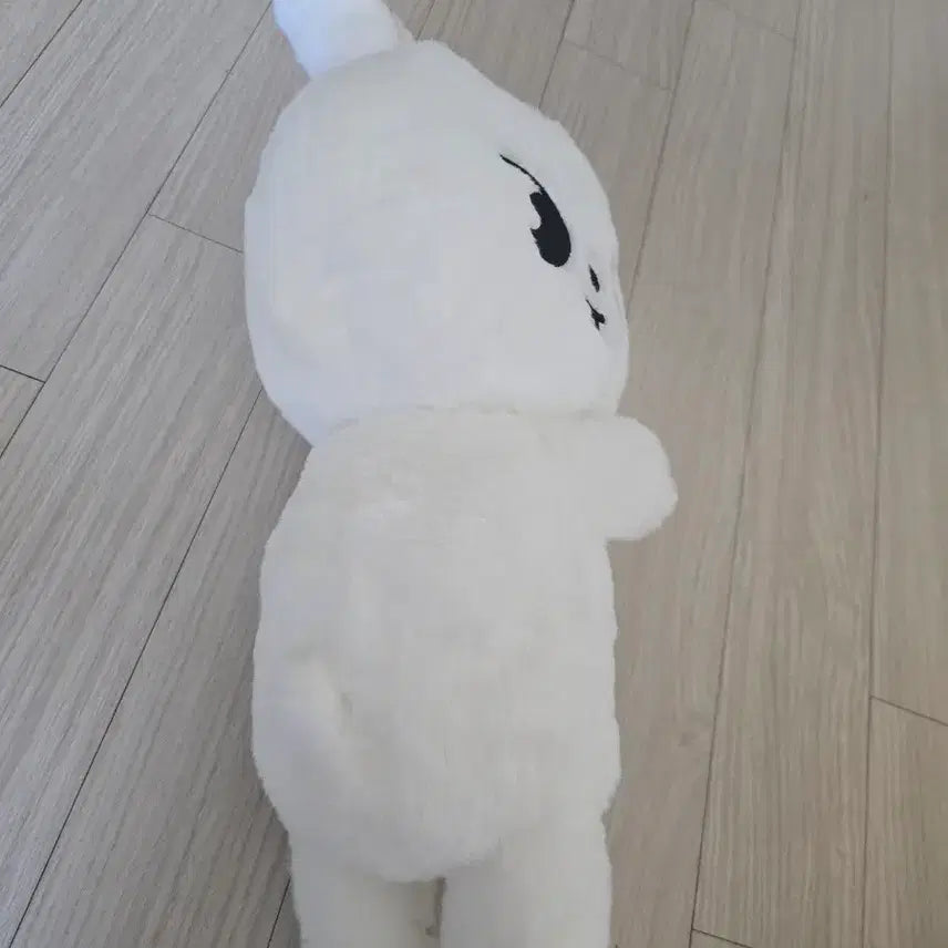 리빗 스키주 플러시백 스트레이키즈 스키즈