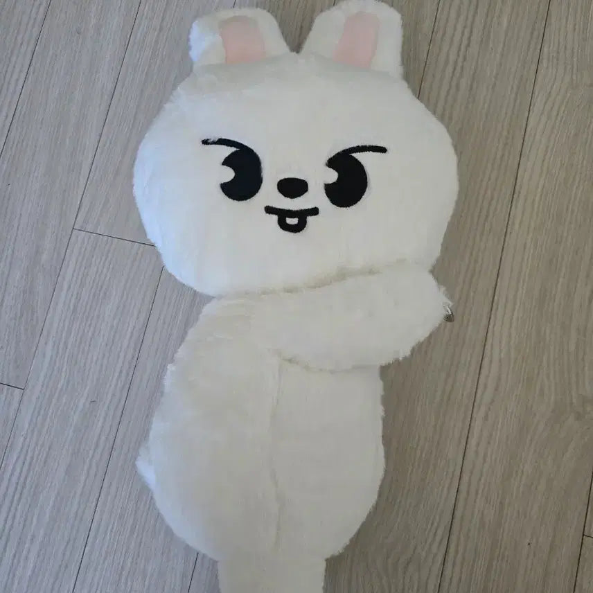 리빗 스키주 플러시백 스트레이키즈 스키즈