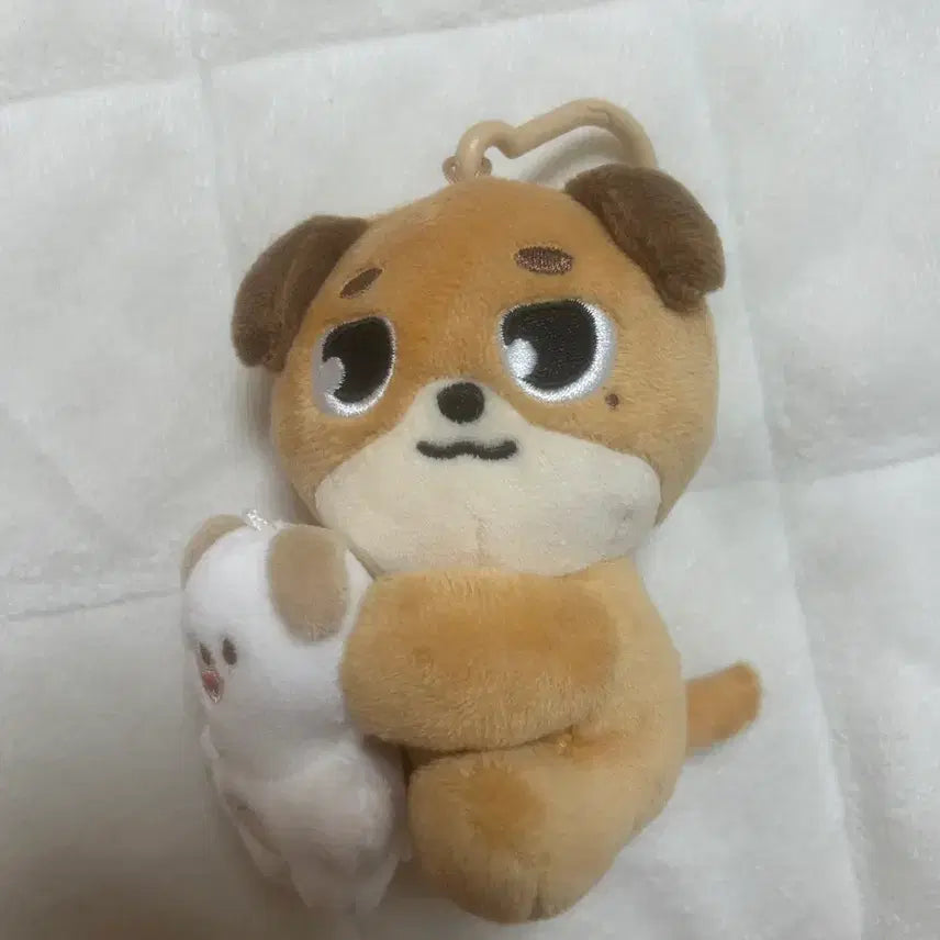 데이식스 윤도운 인형 팔아요