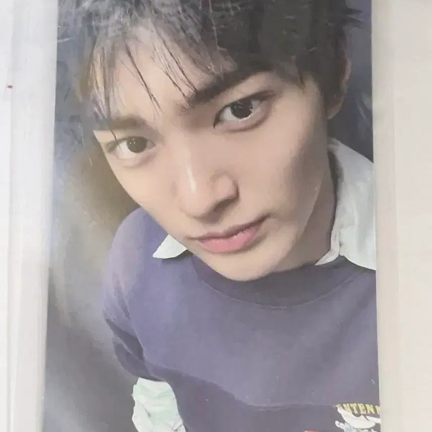 코르티스 cortis 건호 스튜디오 춤 포토카드 포카