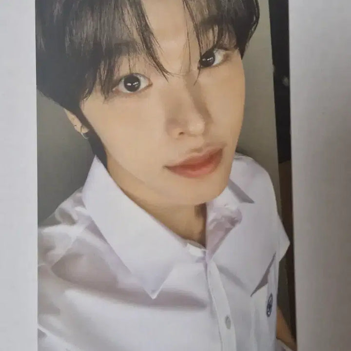 엔시티 위시 nct wish 리쿠 riku 스쿨오브위시 포토카드 포카