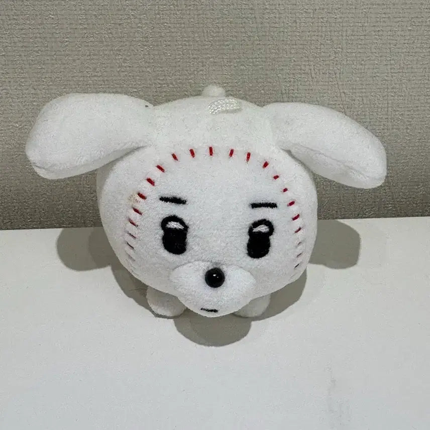 에스파 윈터 직직이 공직이 인형 양도