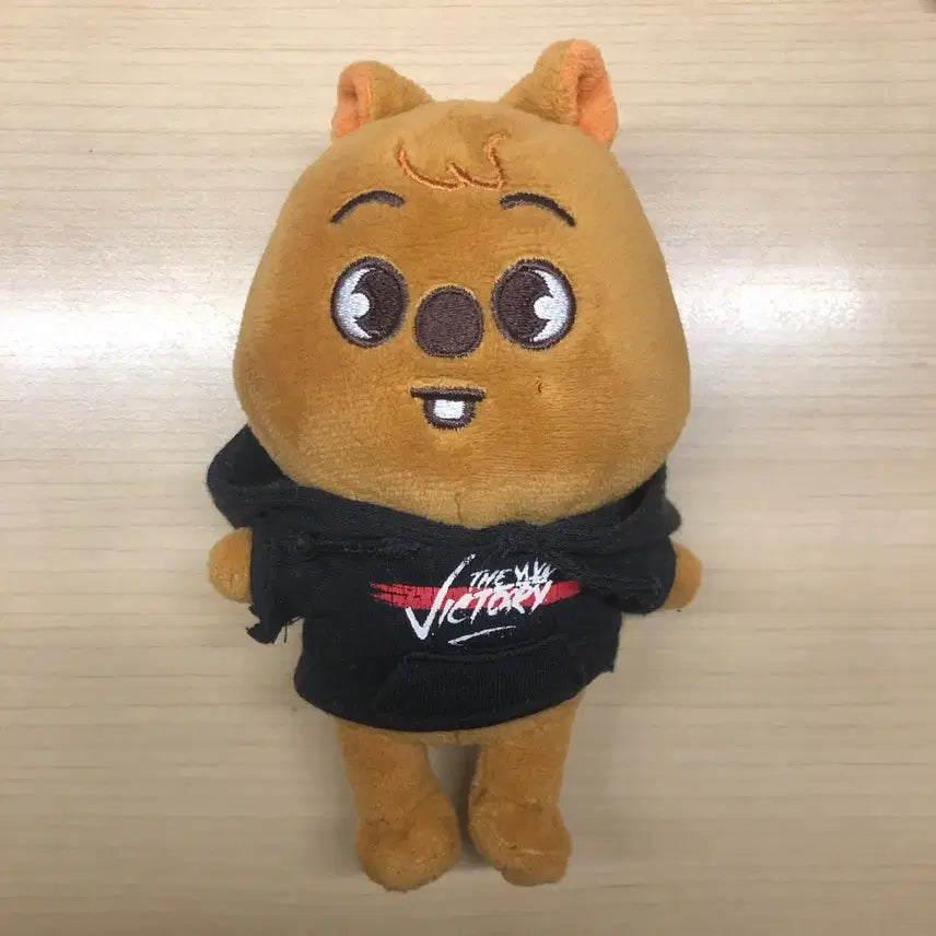 스트레이키즈 스키즈 스키주 한 한쿼카 인형 미니 양도 합니다