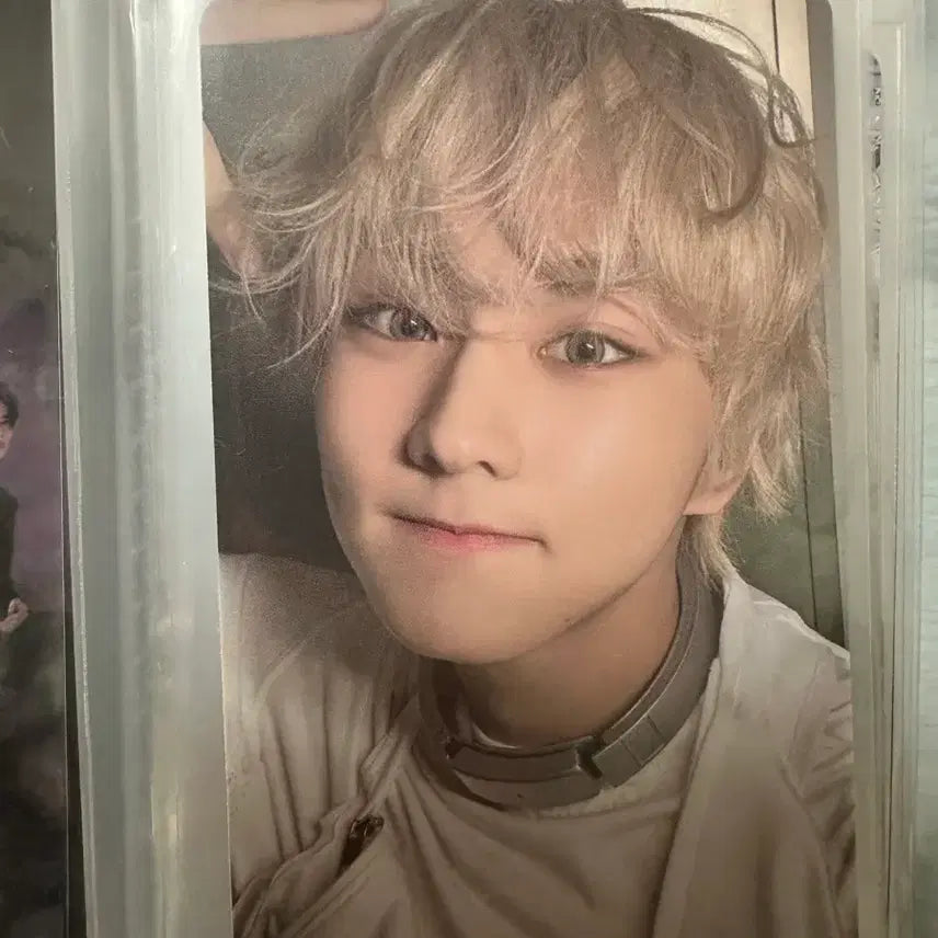 언리쉬 위버스 정원 판매