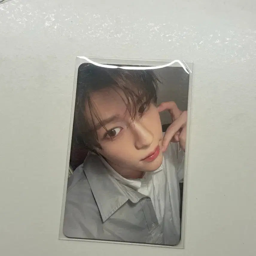 엔시티 위시 스테디 시온 미공포