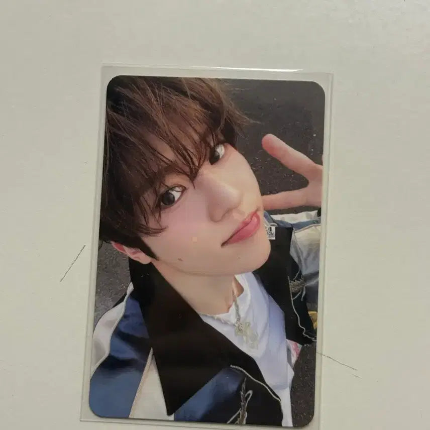 엔시티 위시 스테디 시온 미공포