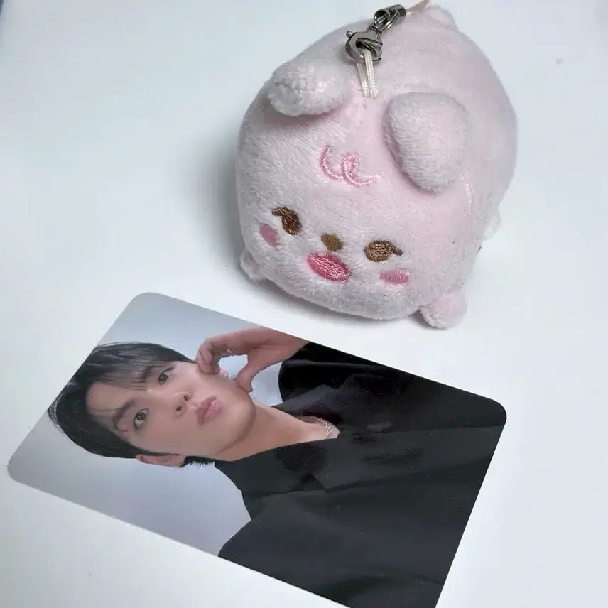 쁘띠멀즈 필 사족보행 인형 데이식스 원필 포카 일괄