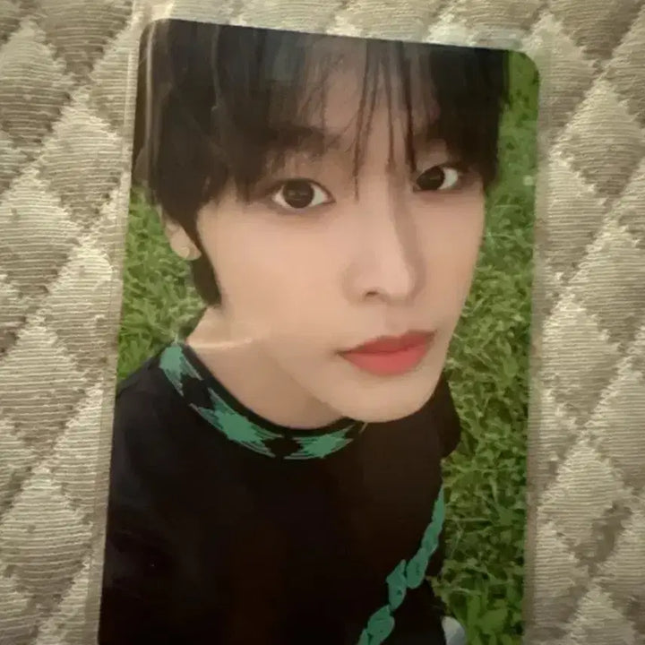 Nct wish 료 사쿠야 시온 리쿠 포카