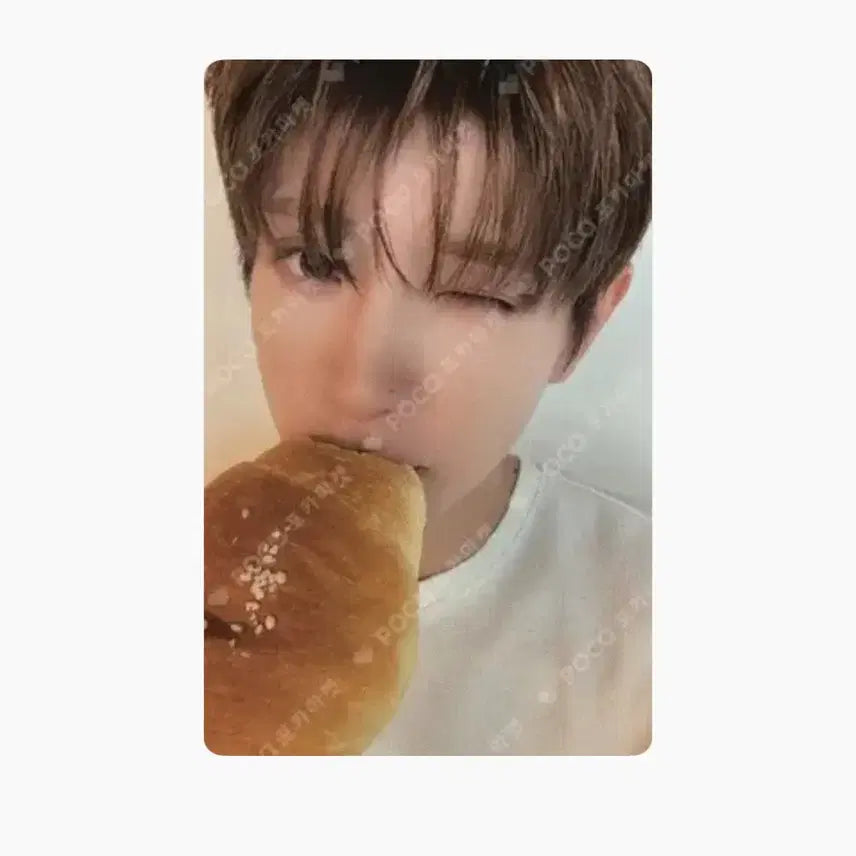 넥스지 유키 공방포카 소금빵