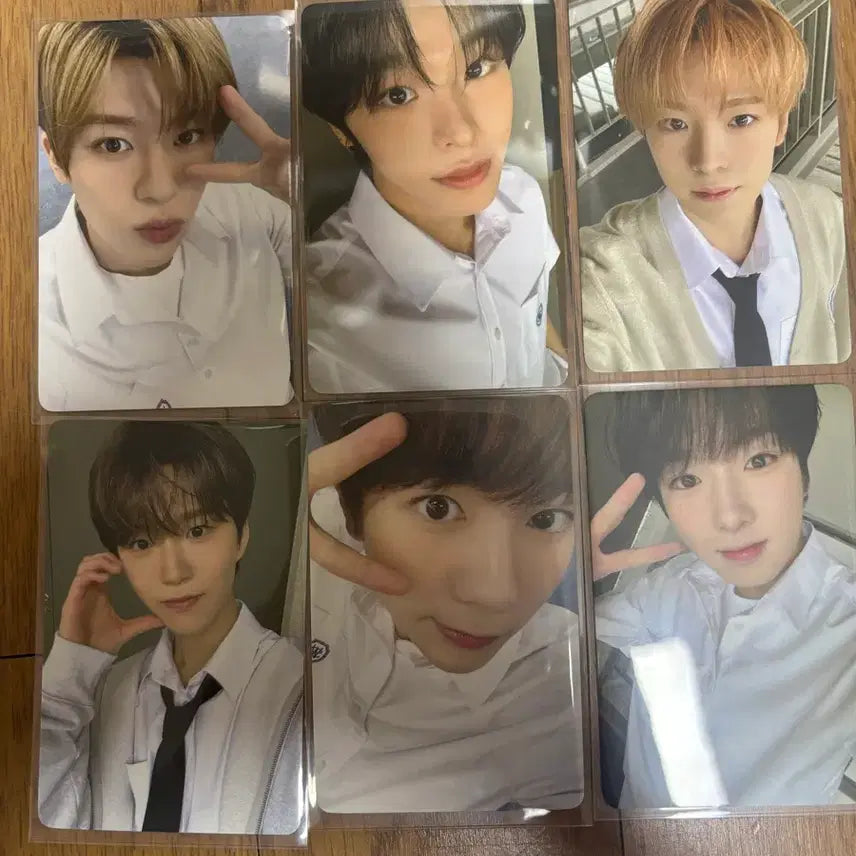 엔시티위시 스쿨오브위시 스오위 포카 일괄