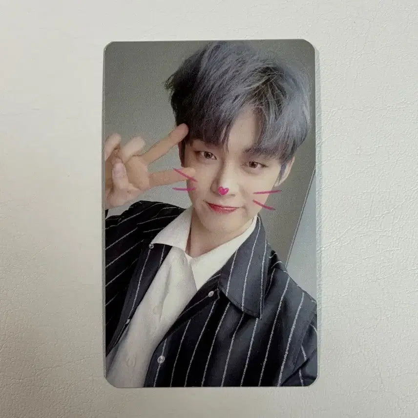 투바투 연준 캣앤독 공방포카 냥 버전