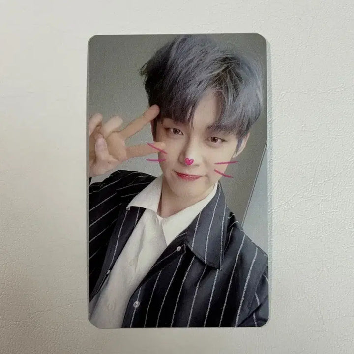 투바투 연준 캣앤독 공방포카 냥 버전