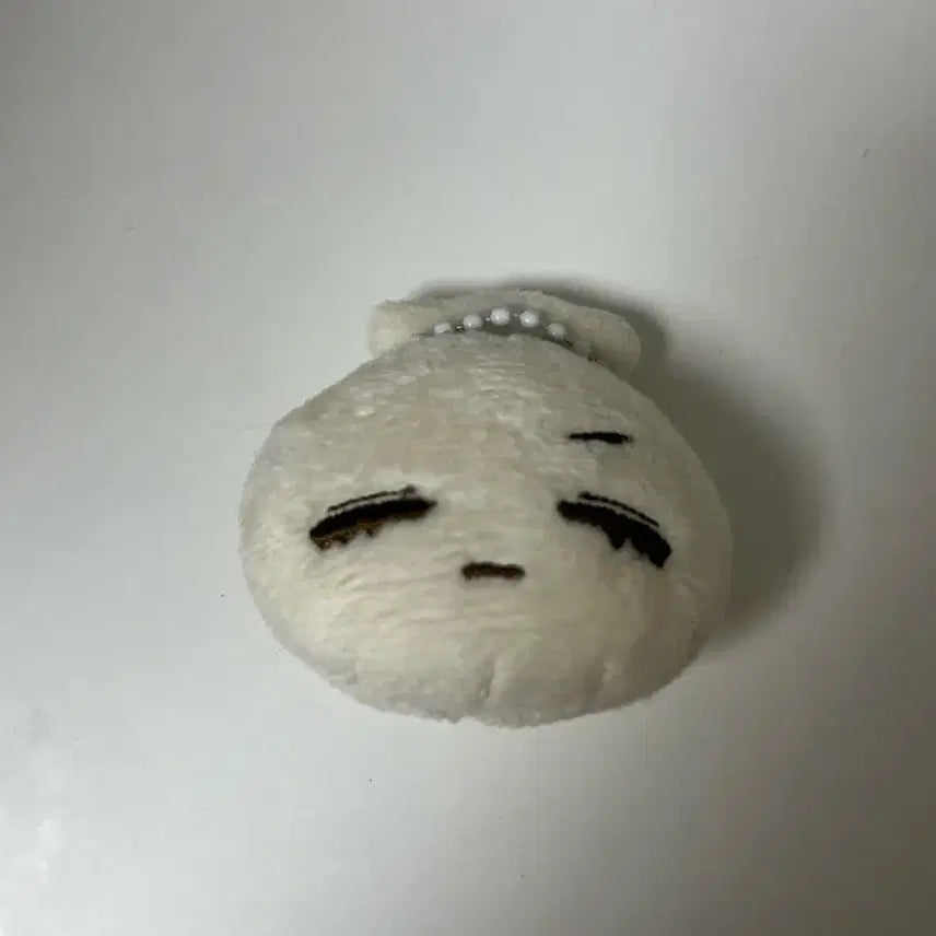 보넥도 보이넥스트도어 태산 한태산 만두 인형 키링