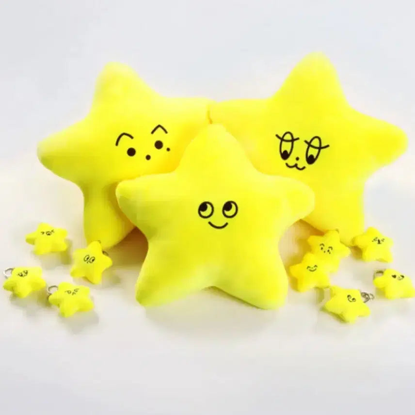 태용 불가사리 쿠션