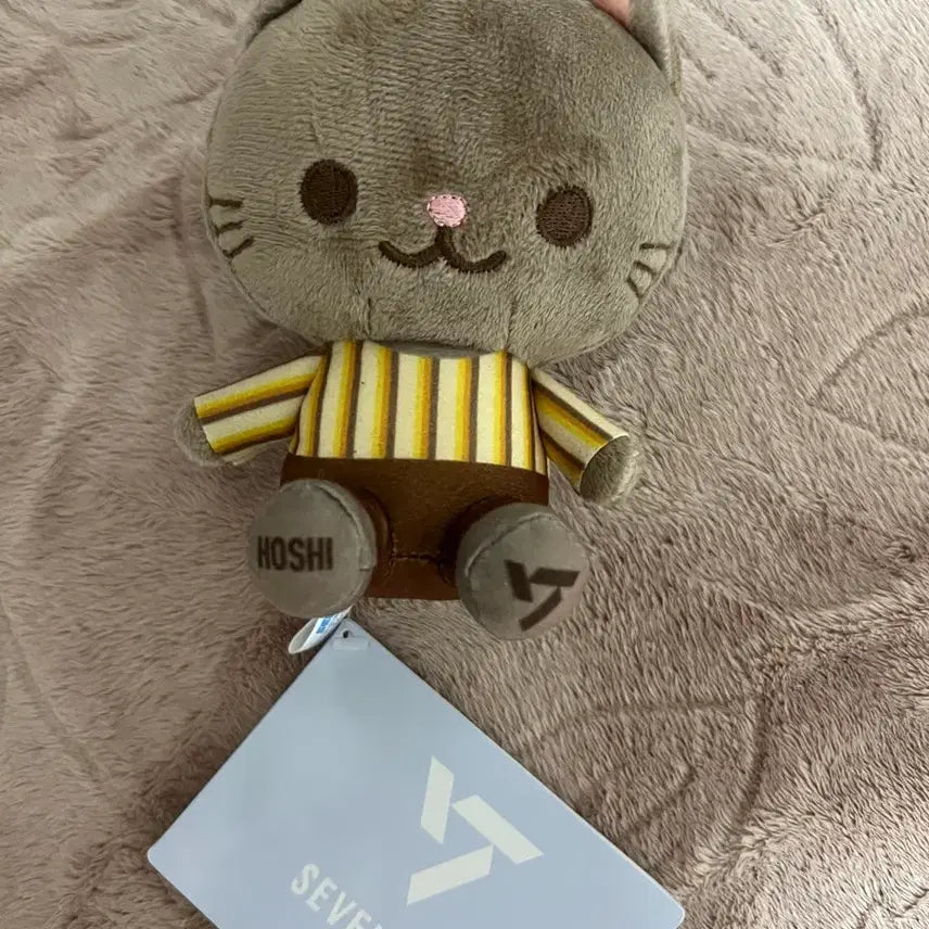 세븐틴 호시 고양이 인형 봉제인형
