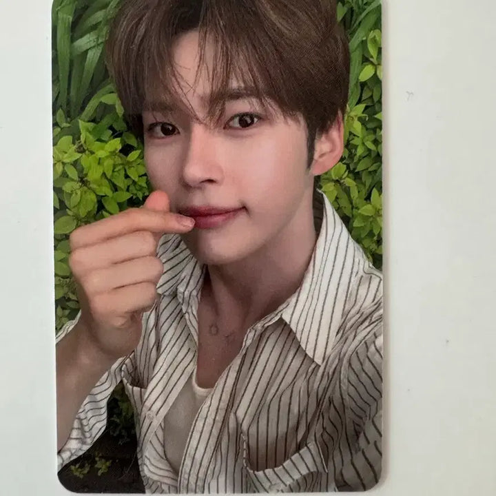 제로베이스원 zb1 never say never 스타리버 특전 성한빈