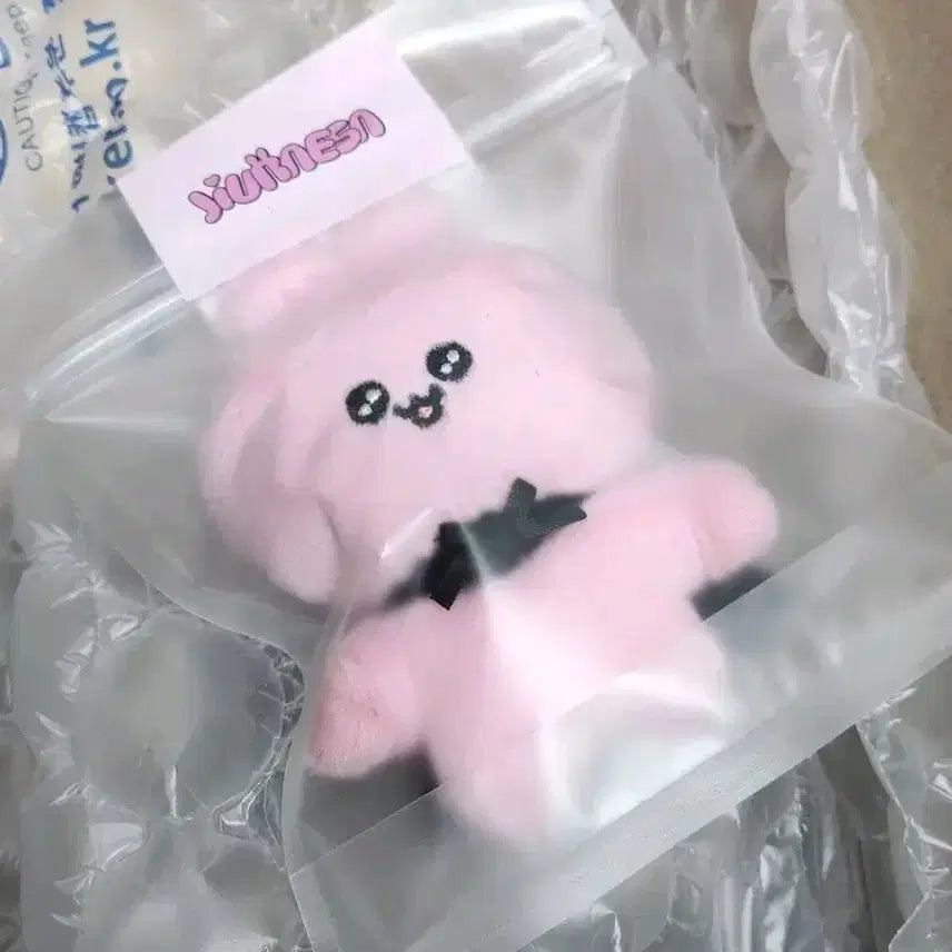 드림캐쳐 유아유 지유 미니캐쳐 쥬래사 인형 미개봉