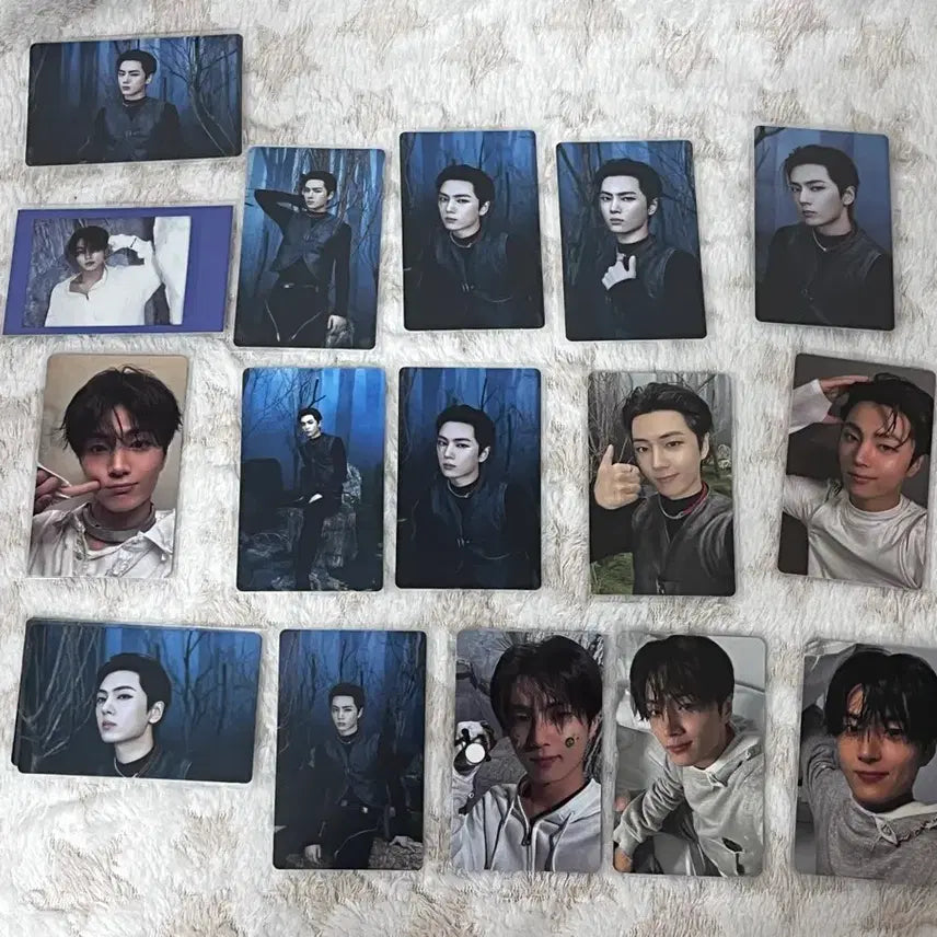 엔하이픈 포토카드 일괄