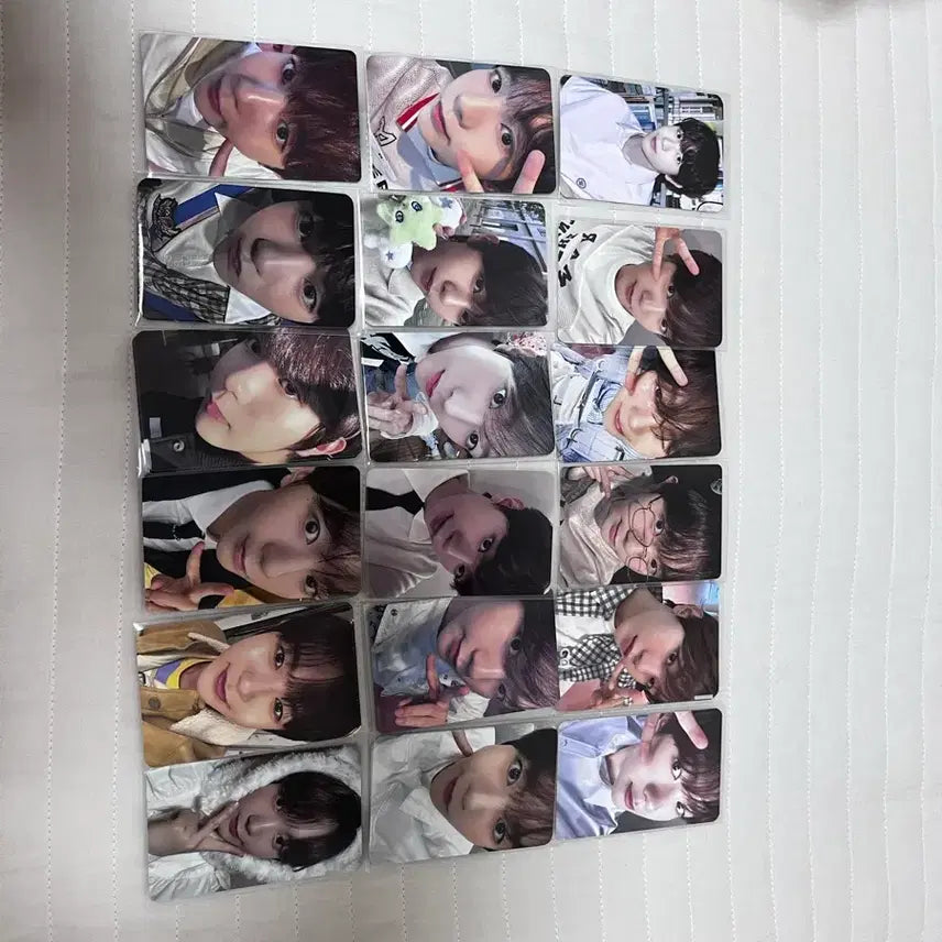 엔시티위시 포토카드 일괄