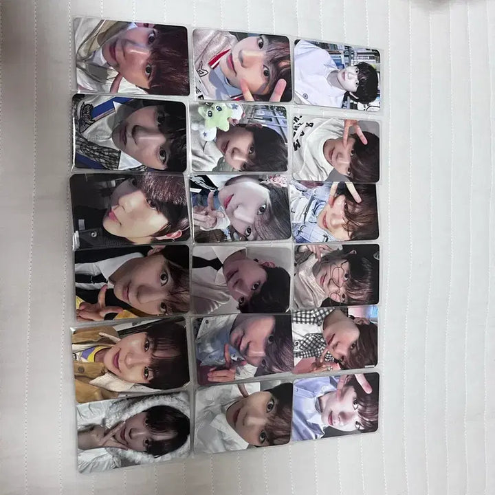 엔시티위시 포토카드 일괄