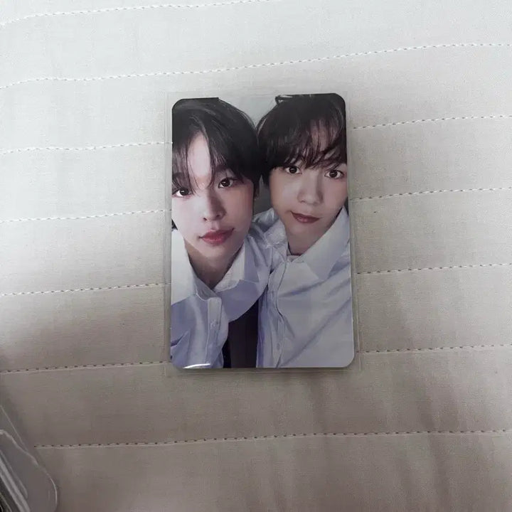 엔시티위시 포토카드 일괄