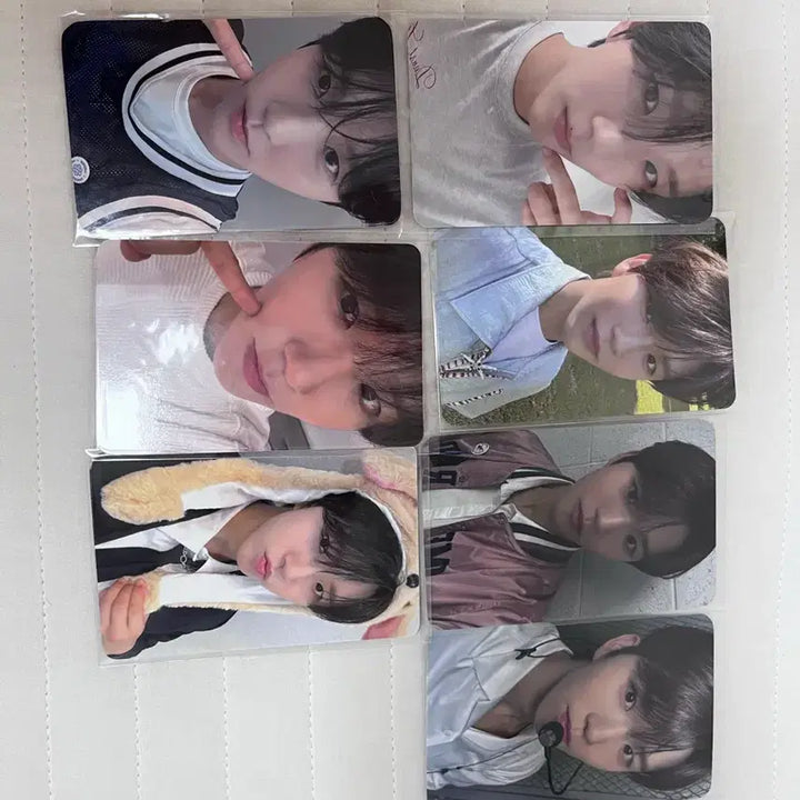 엔시티위시 포토카드 일괄