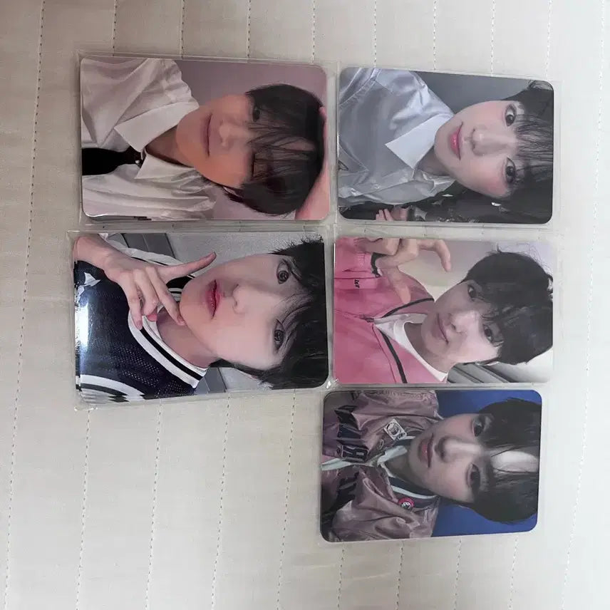 엔시티위시 포토카드 일괄