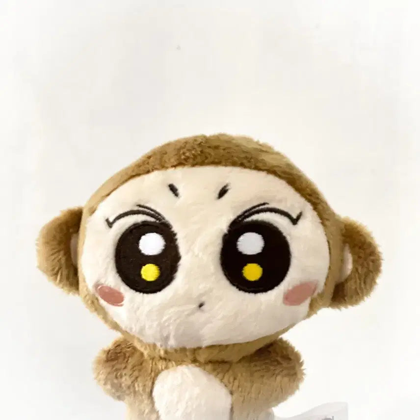 엔하이픈 양정원 쩡숭이 인형 양도 판매