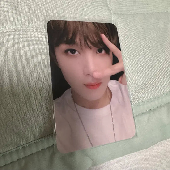 엔시티 해찬 네오시티 카드홀더 포카 양도 127 드림