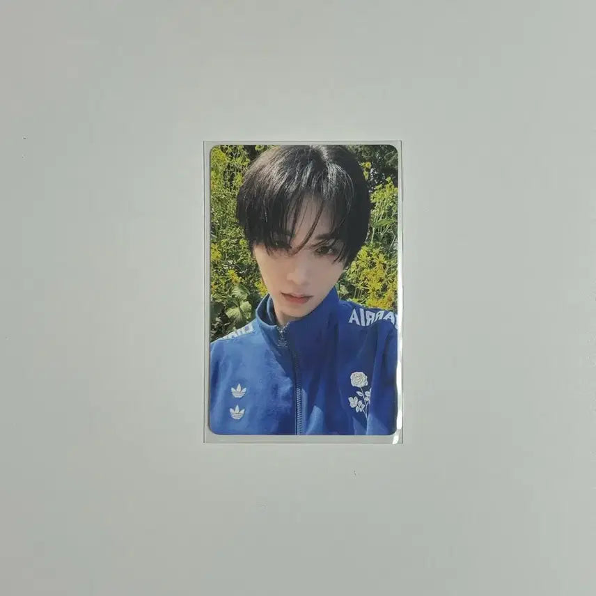 보이넥스트도어 보넥도 디액션 할리우드액션 프레임버전 태산