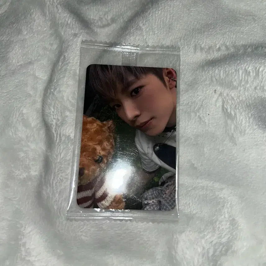 엔시티위시 유우시 케타포 특전 포카 양도