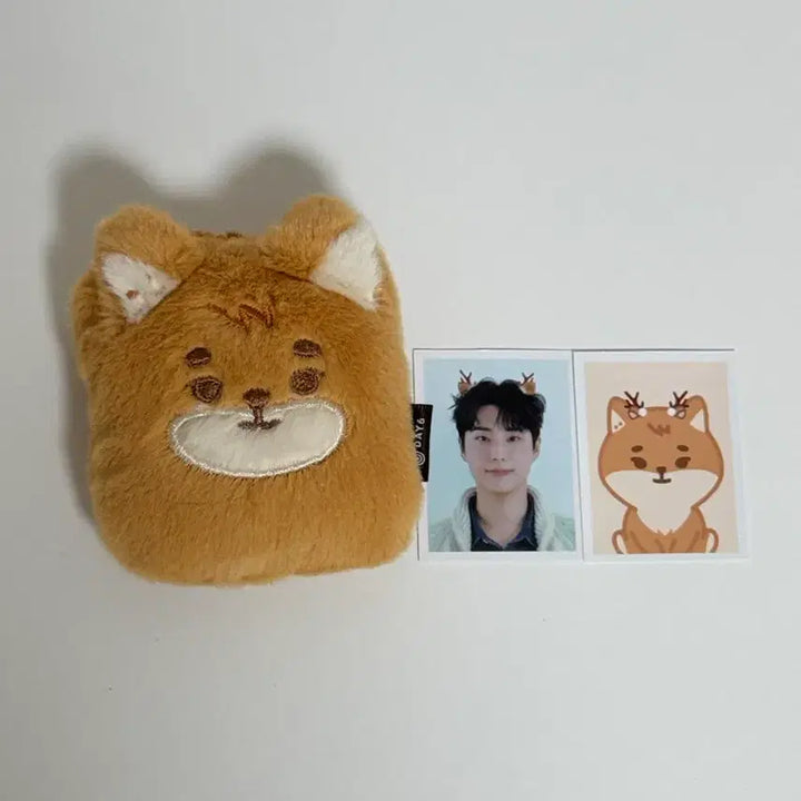 영케이 증명사진 홀더 인형 케 데이식스 판매