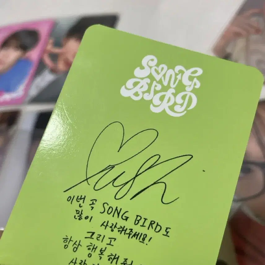 엔시티위시 포카(일괄,유우시 포카 하자있어요!)