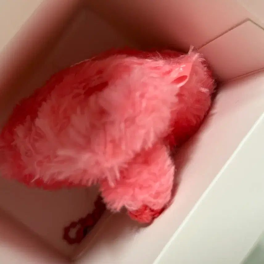 엔시티 위시 컬러 위시돌 레드 빨강 시오닝